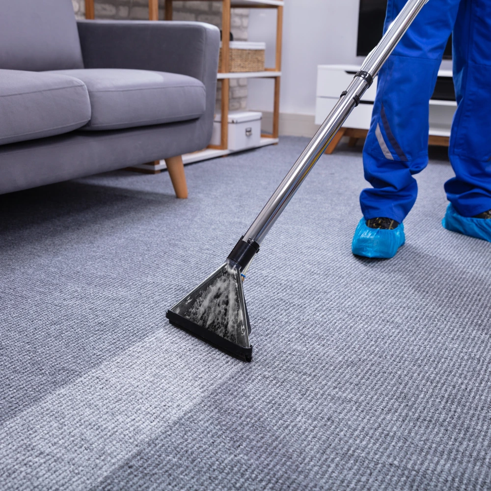 servicio de limpieza de alfombras de Mabinsa 2