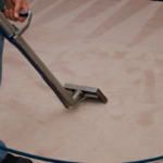 Técnico especializado realizando limpieza profunda de alfombra en edificio corporativo.