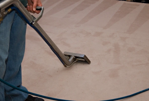 Técnico especializado realizando limpieza profunda de alfombra en edificio corporativo.