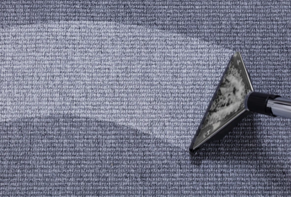 Técnico limpiando alfombra en una casa con equipo profesional