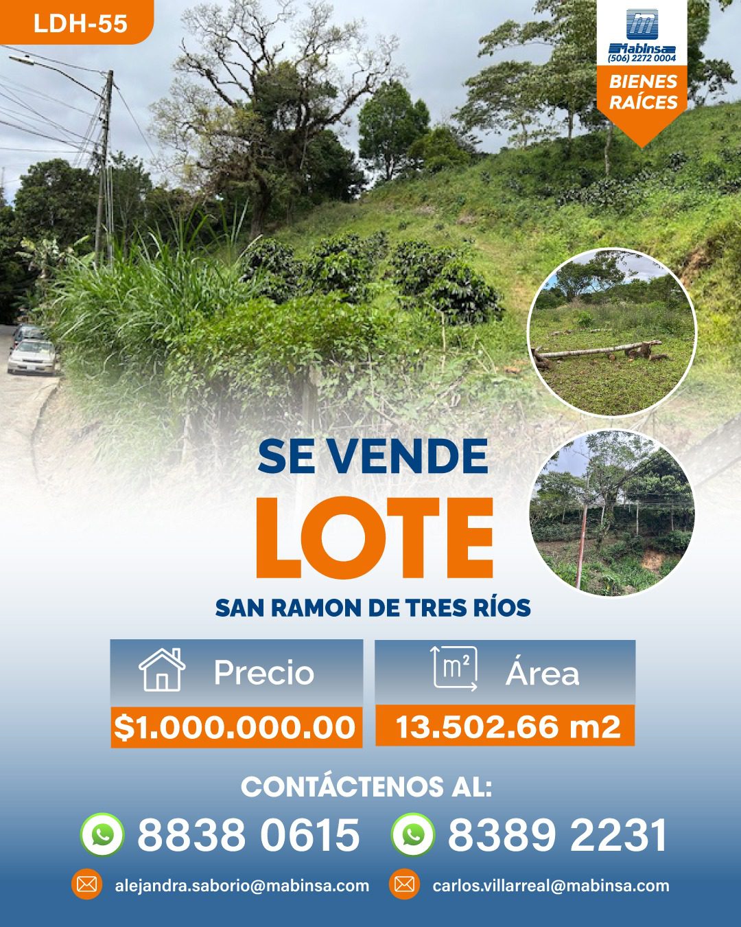 WhatsApp Image 2026-03-17 at 3.54.05 PM (1)