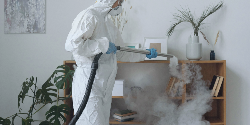 Fumigación preventiva en edificios comerciales en Costa Rica