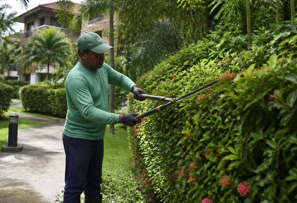 Jardinería y zonas verdes en condominios de Costa Rica: plan de mantenimiento