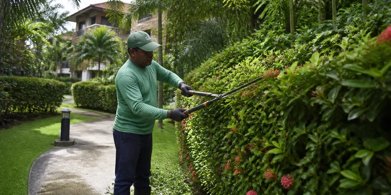 Jardinería y zonas verdes en condominios de Costa Rica: plan de mantenimiento